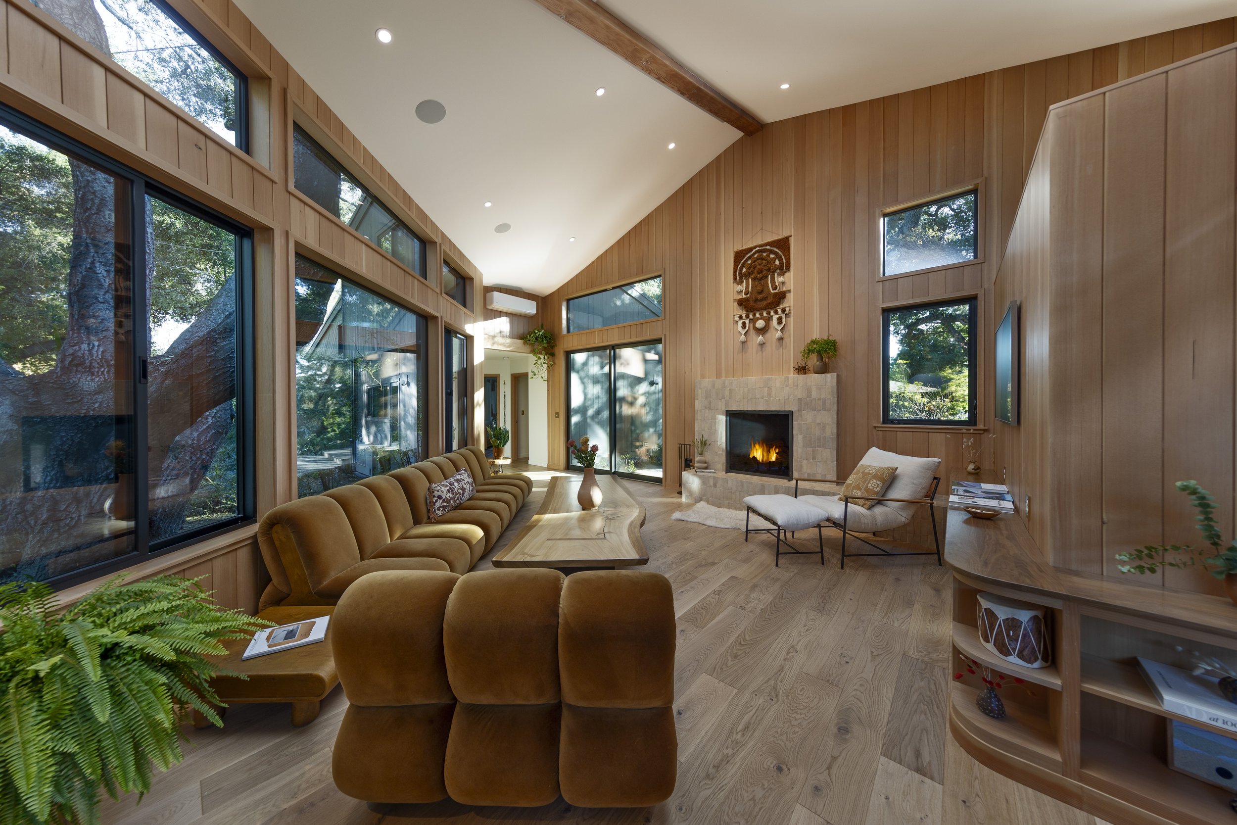Two Trees Architects