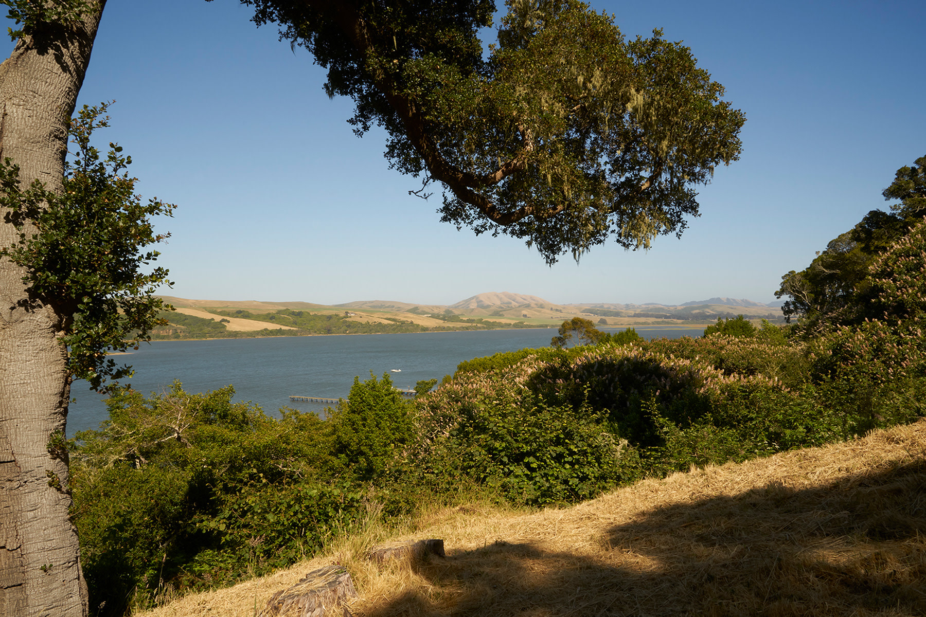Marin Compound — Commune Design