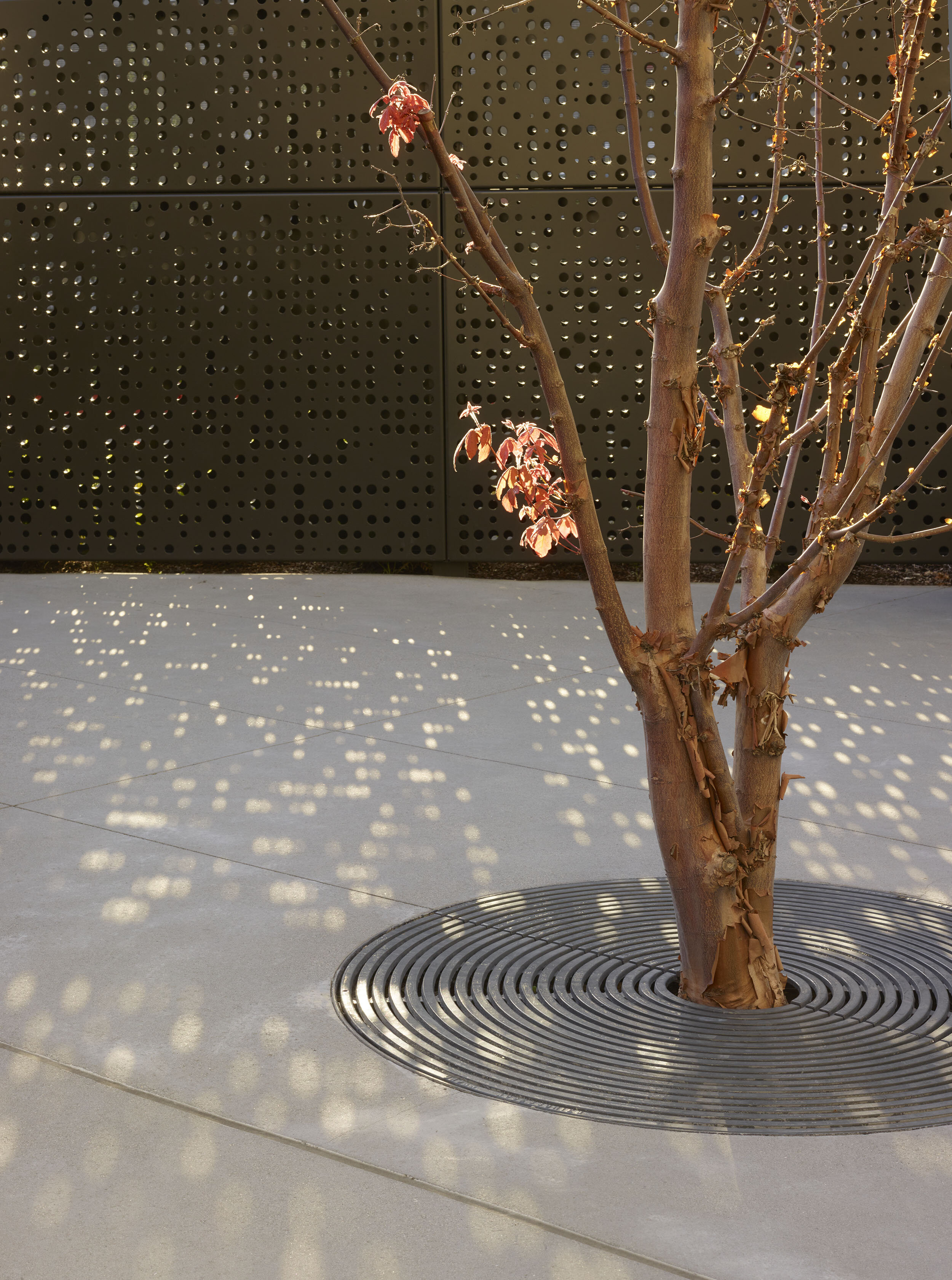 McGuire Building — Surfacedesign, Inc.
