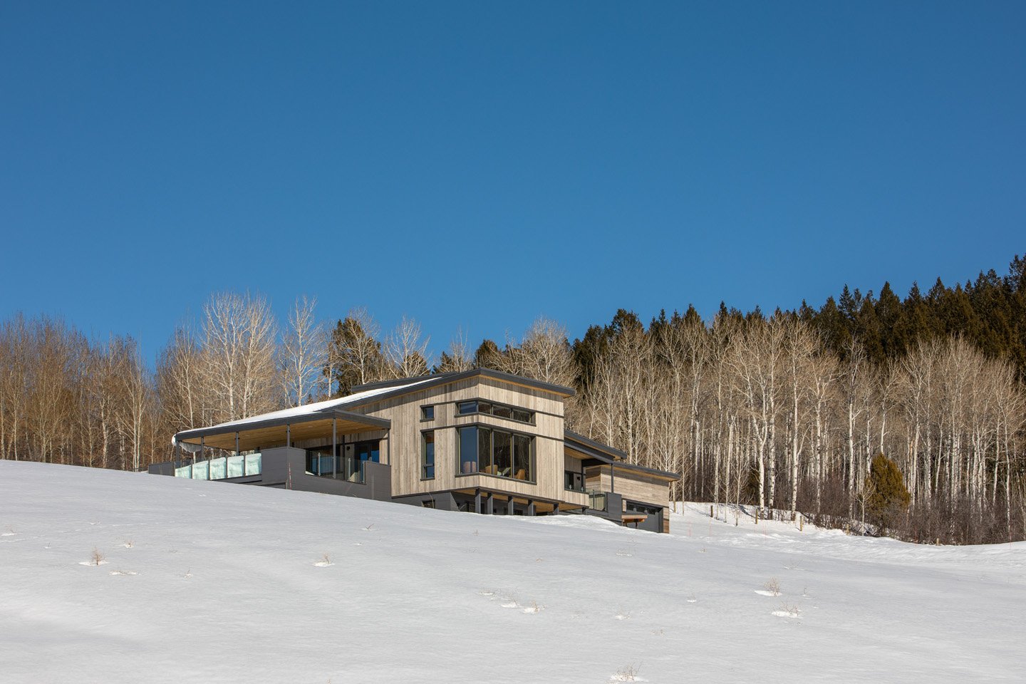 Meadow House — Love | Schack Architecture