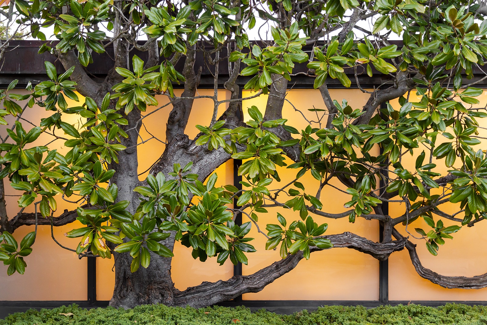 Midcentury Modern Architecture in Santa Barbara — Blackbird Architects, Santa Barbara, California - Residential & Commercial