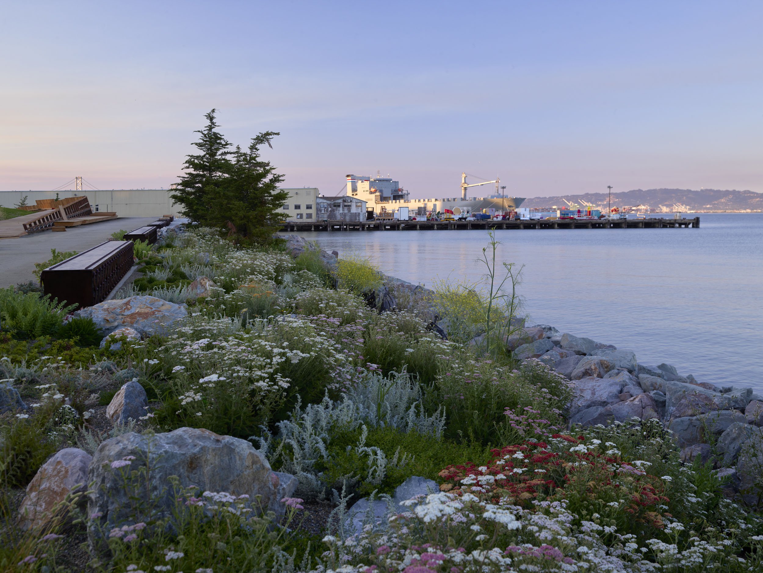 Mission Bay Bayfront Park — Surfacedesign, Inc.