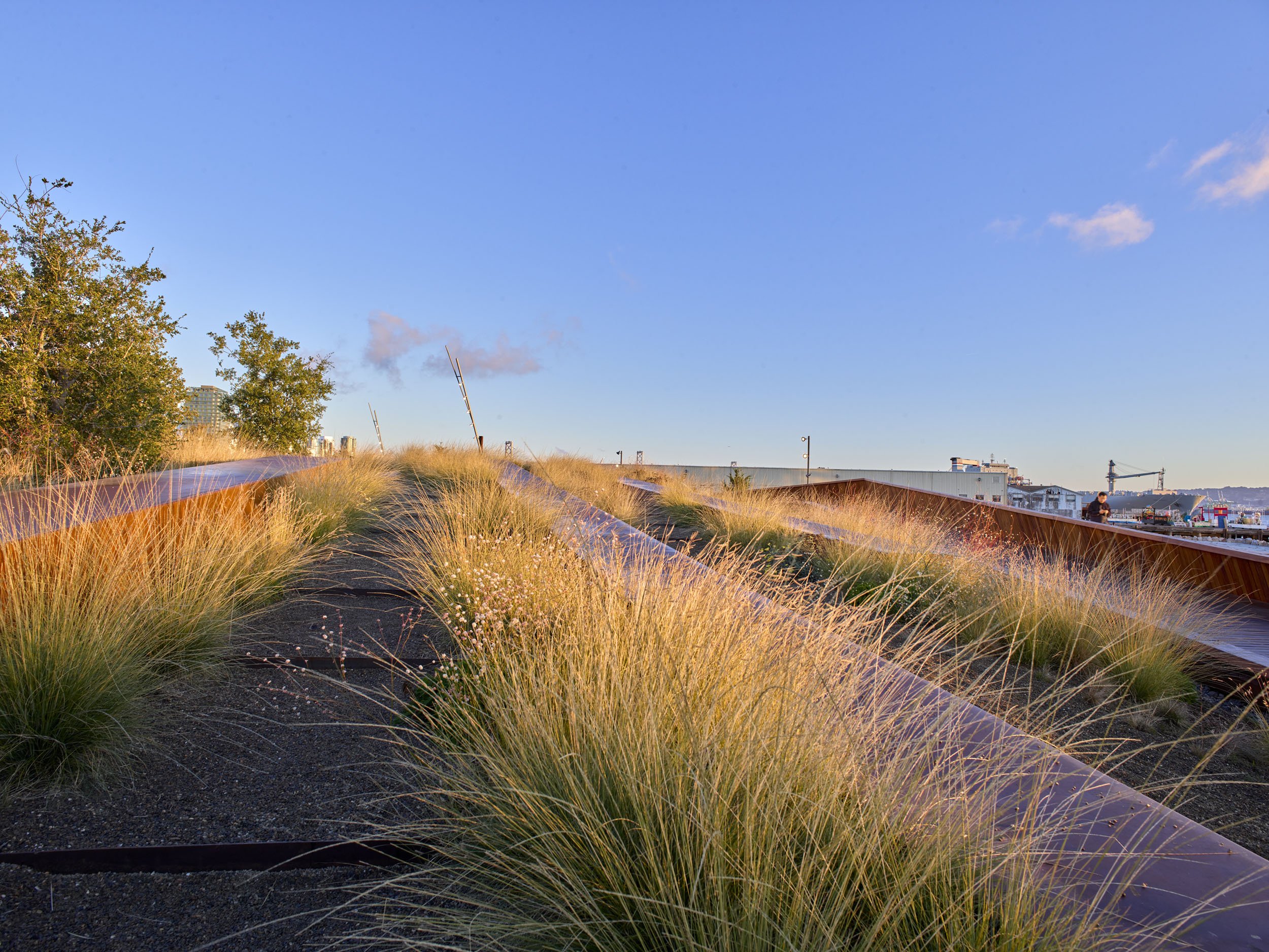 Mission Bay Bayfront Park — Surfacedesign, Inc.