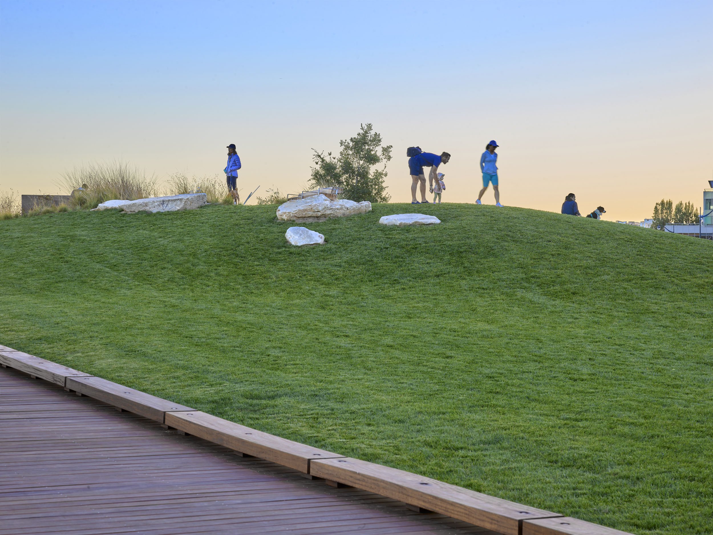 Mission Bay Bayfront Park — Surfacedesign, Inc.