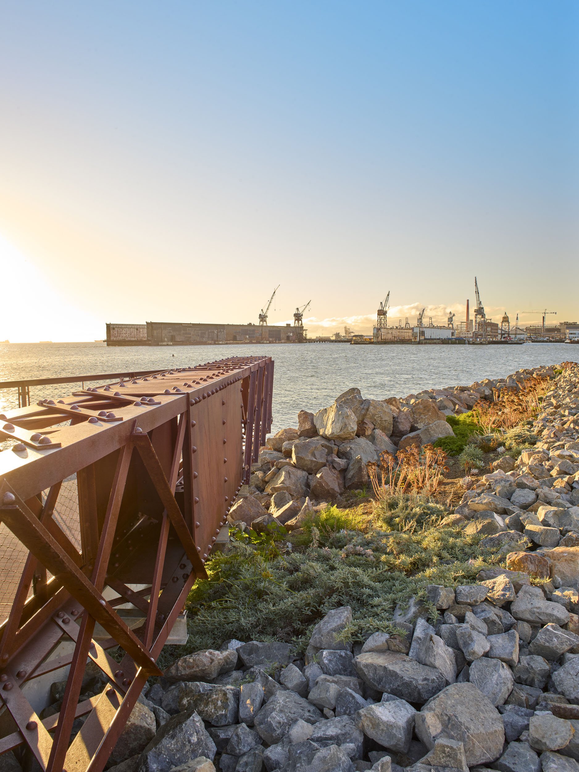 Mission Bay Bayfront Park — Surfacedesign, Inc.