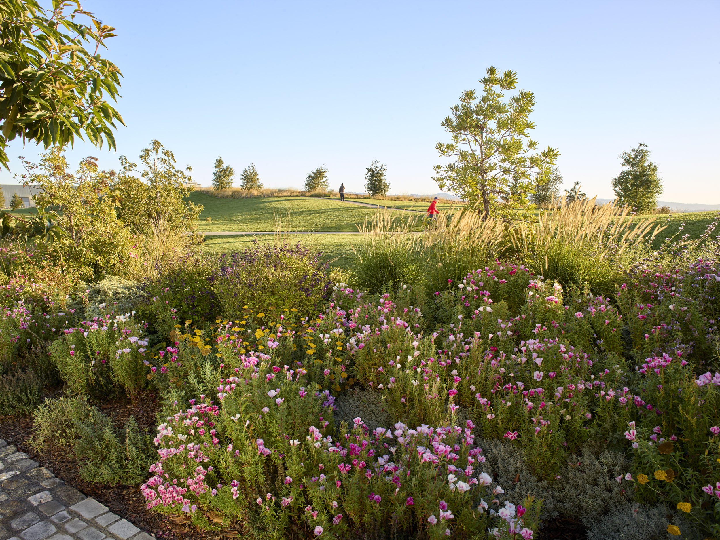 Mission Bay Bayfront Park — Surfacedesign, Inc.