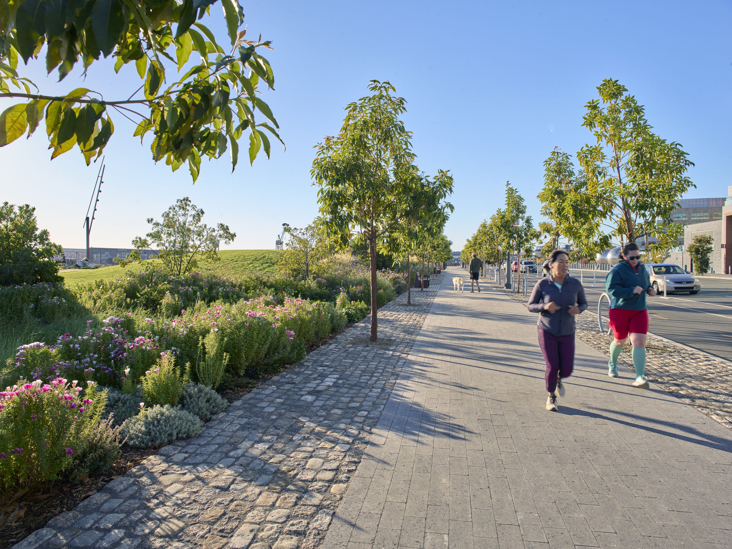 Mission Bay Bayfront Park — Surfacedesign, Inc.