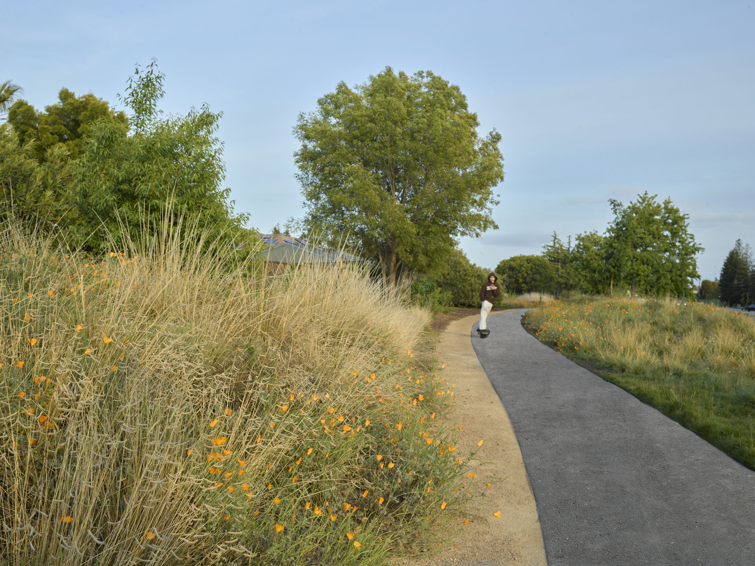 Mission Boulevard Linear Park — Surfacedesign, Inc.