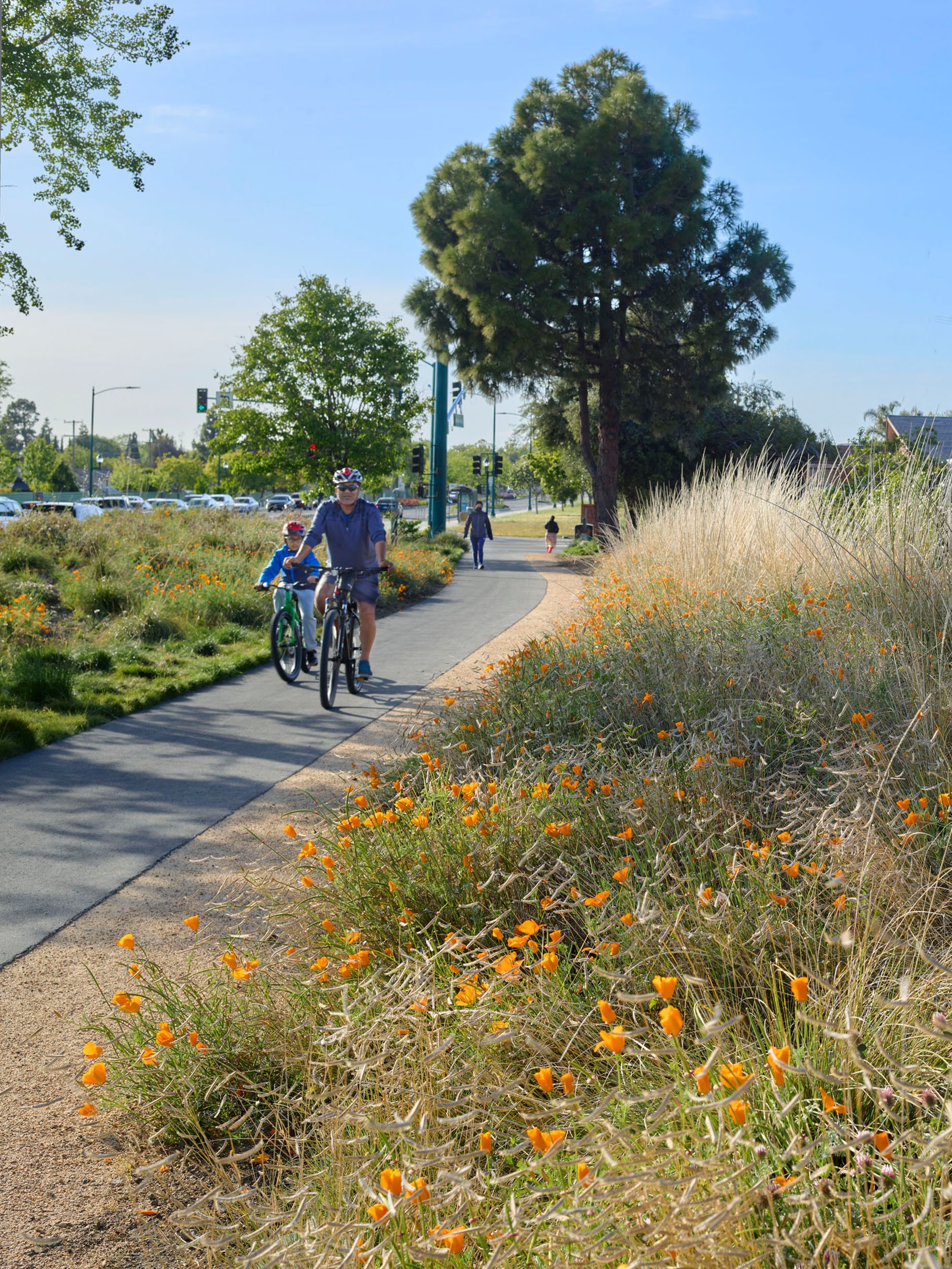 Mission Boulevard Linear Park — Surfacedesign, Inc.