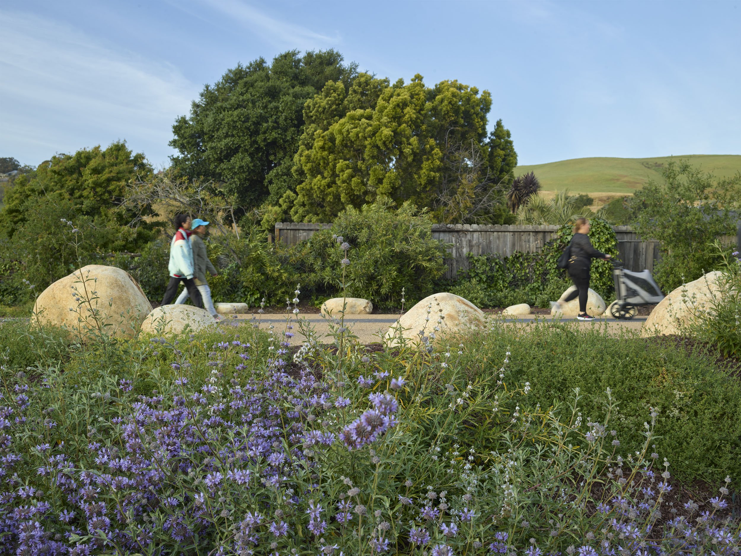 Mission Boulevard Linear Park — Surfacedesign, Inc.