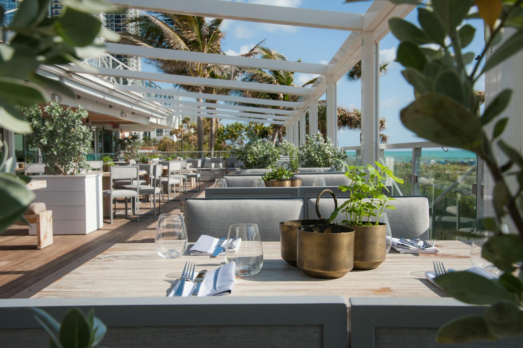 Malibu Farm — Alexander Design