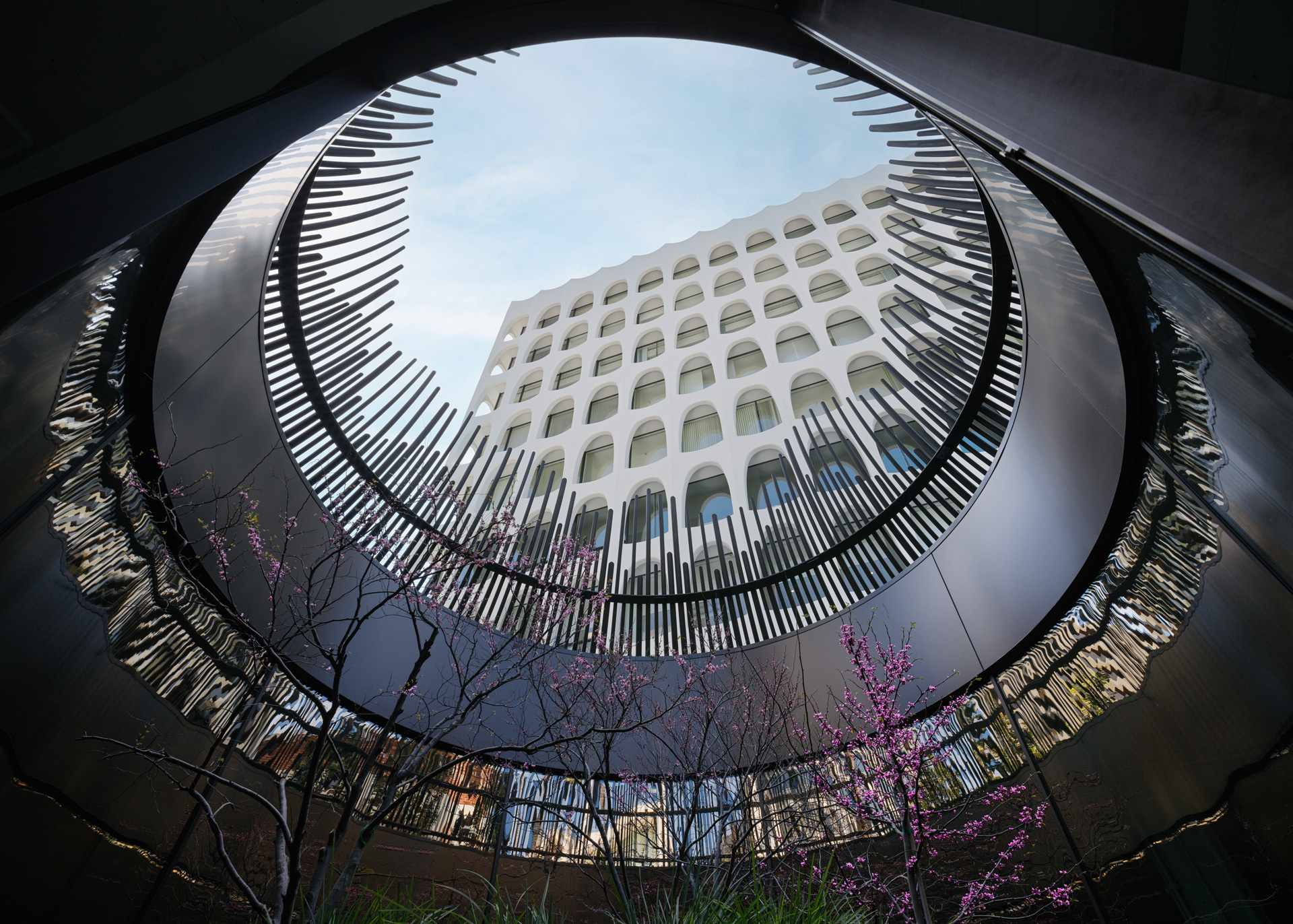 Montalba Architects — Montalba Architects