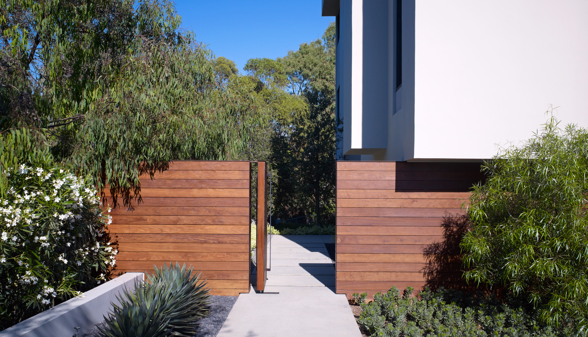 Montalba Architects — Montalba Architects