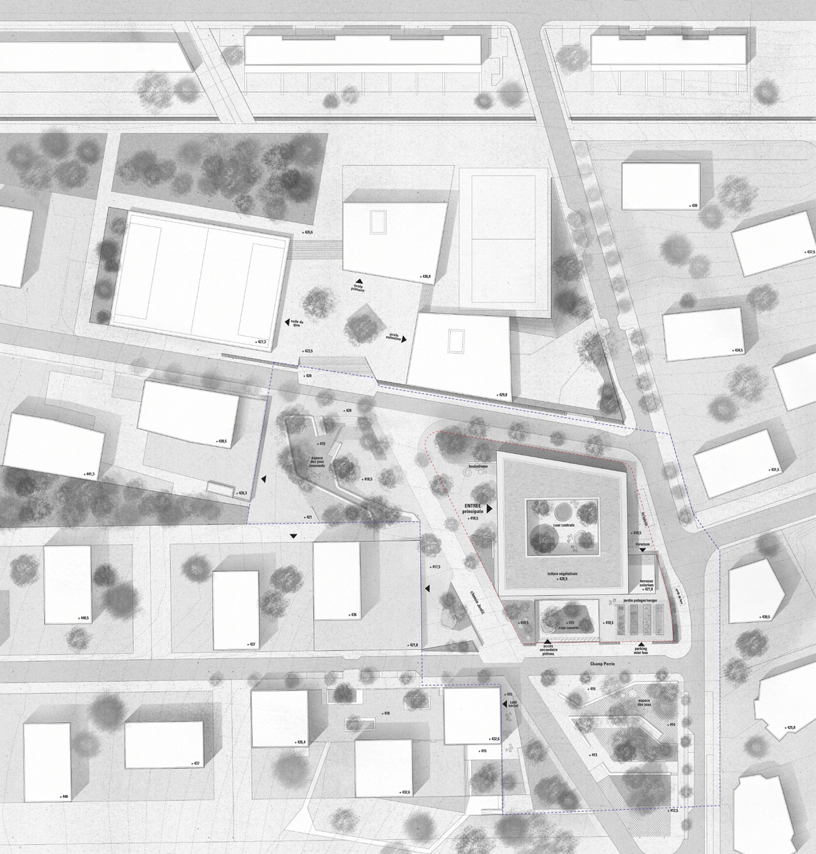 Montalba Architects — Montalba Architects