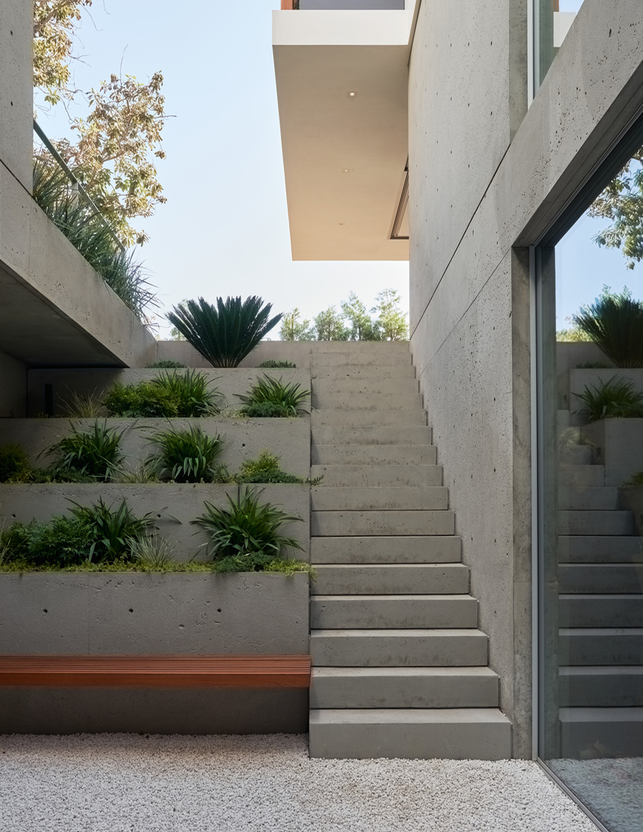 Montalba Architects — Montalba Architects