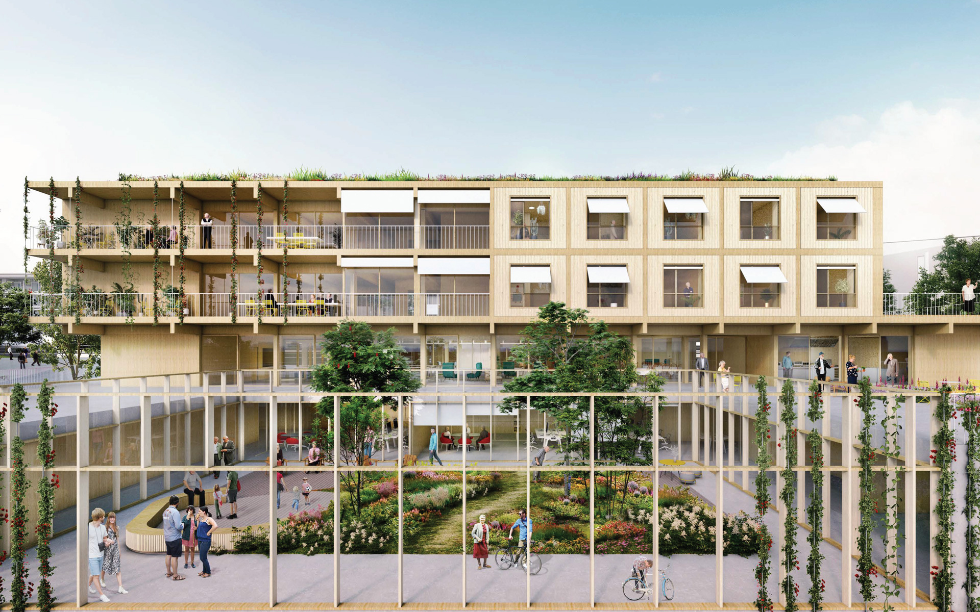 Montalba Architects — Montalba Architects