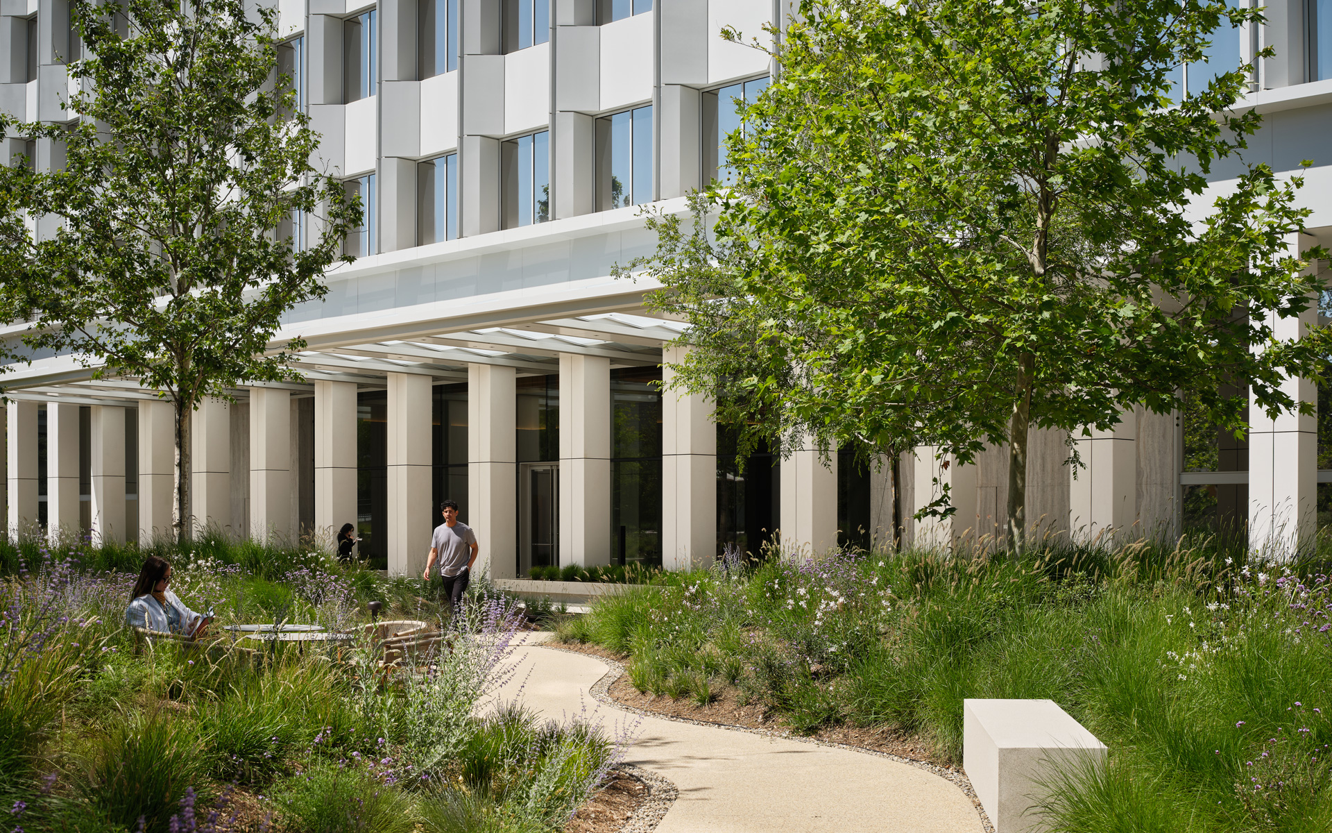 Montalba Architects — Montalba Architects