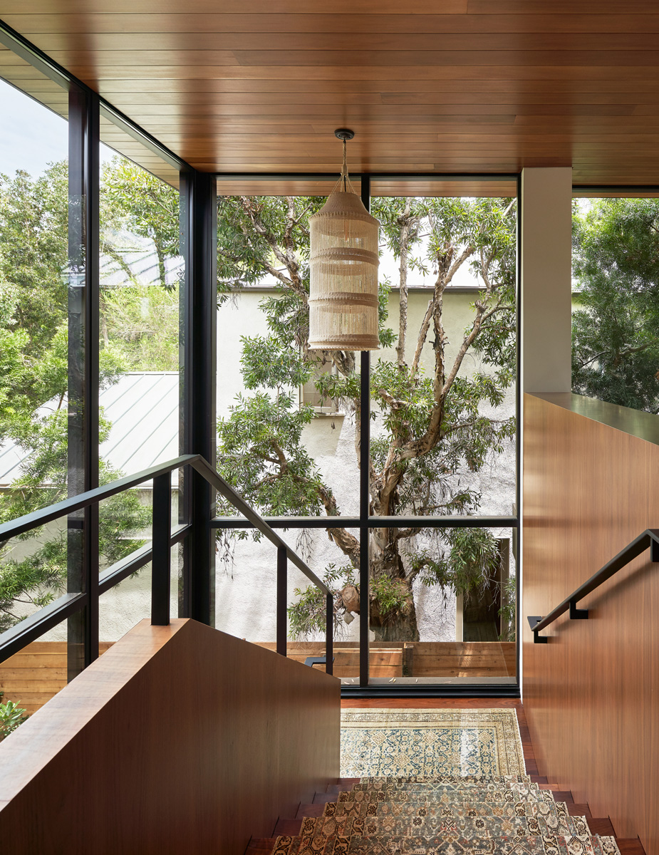 Montalba Architects — Montalba Architects