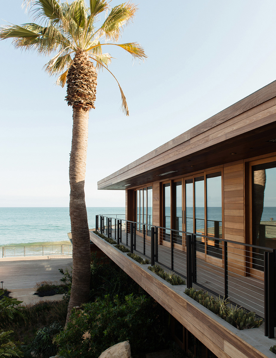 Montalba Architects — Montalba Architects