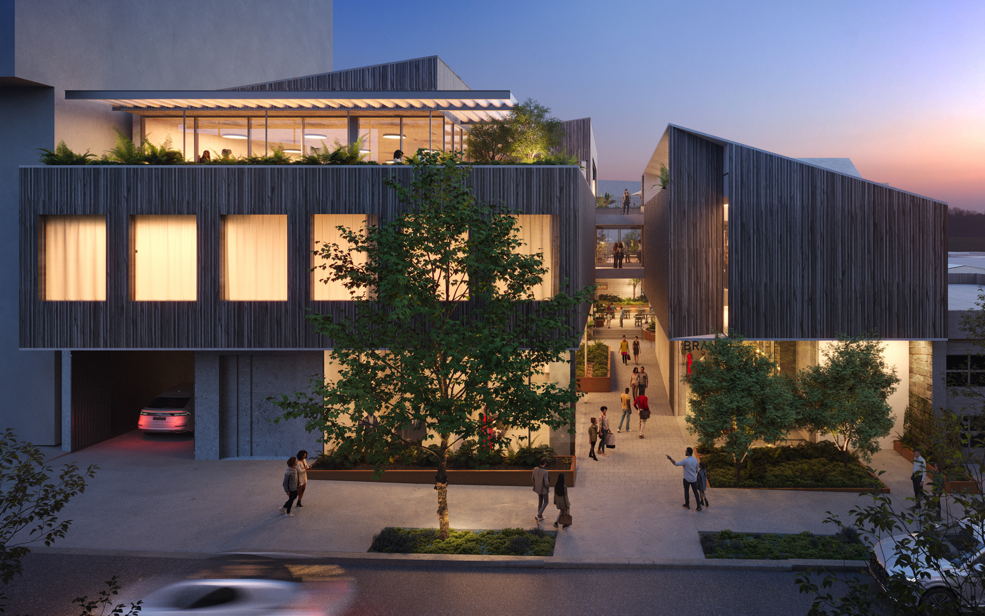 Montalba Architects — Montalba Architects