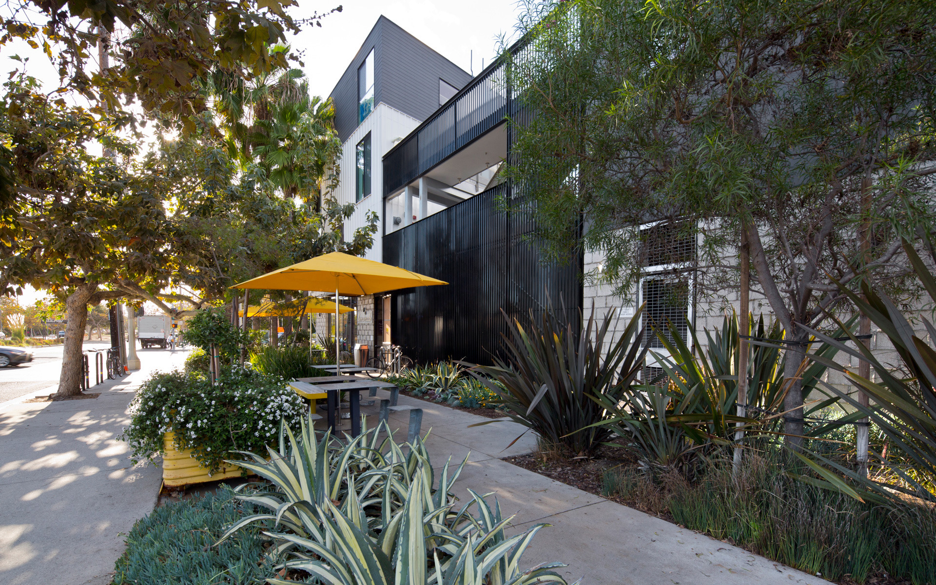 Montalba Architects — Montalba Architects