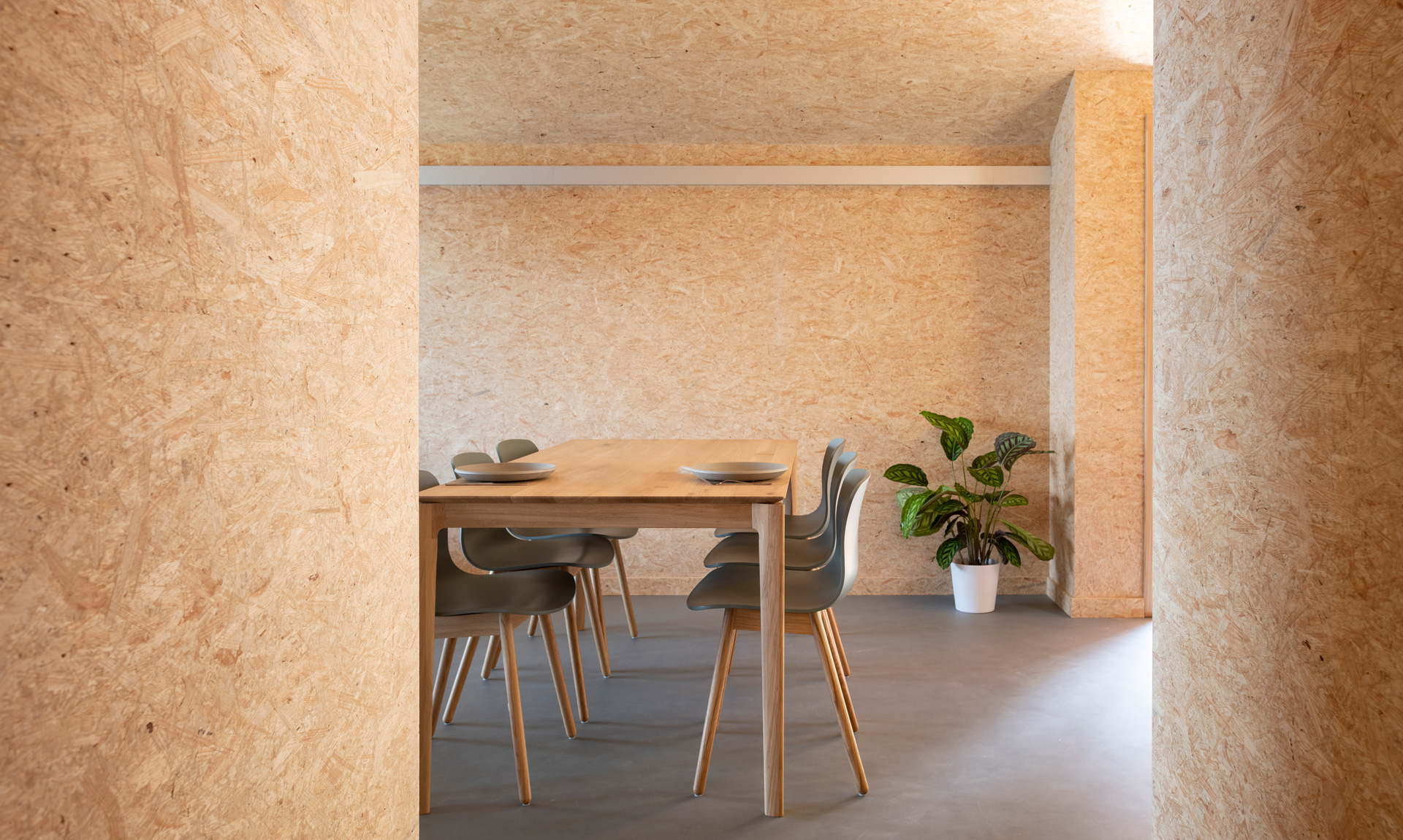 Montalba Architects — Montalba Architects