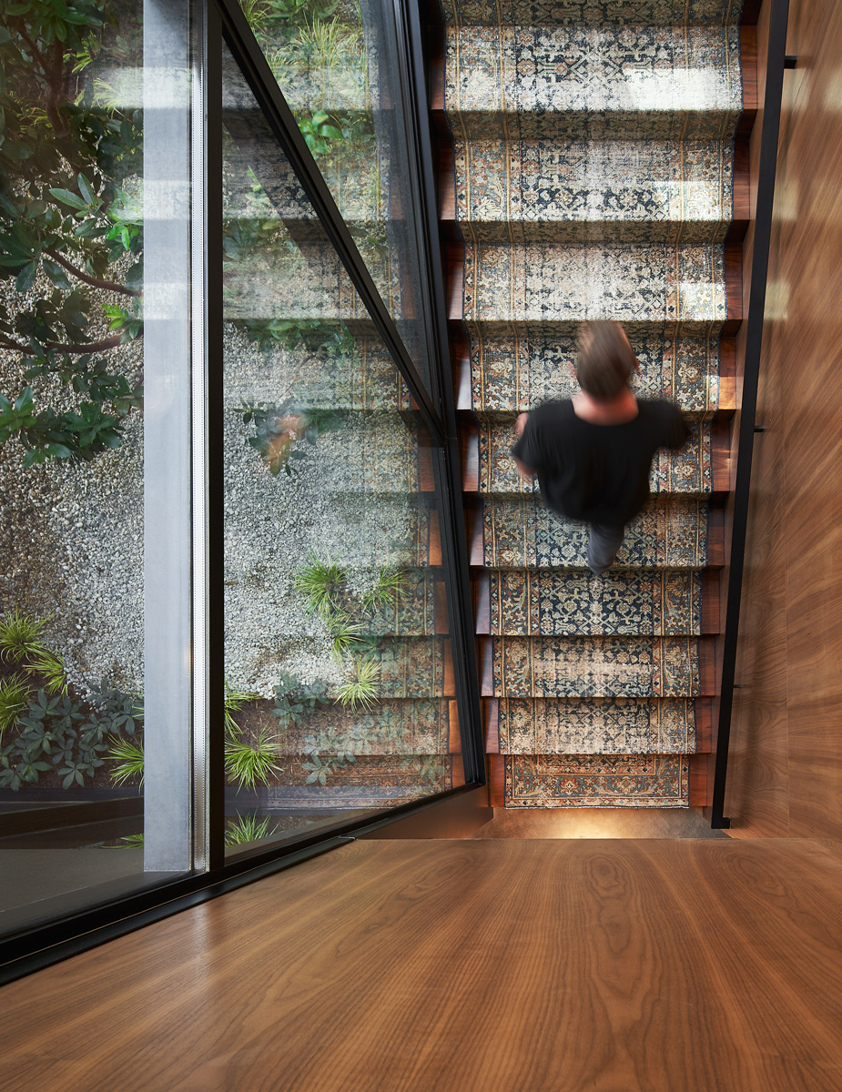 Montalba Architects — Montalba Architects