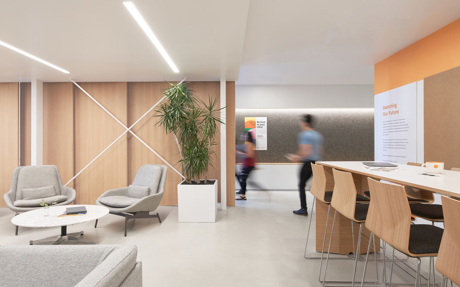 Montalba Architects — Montalba Architects