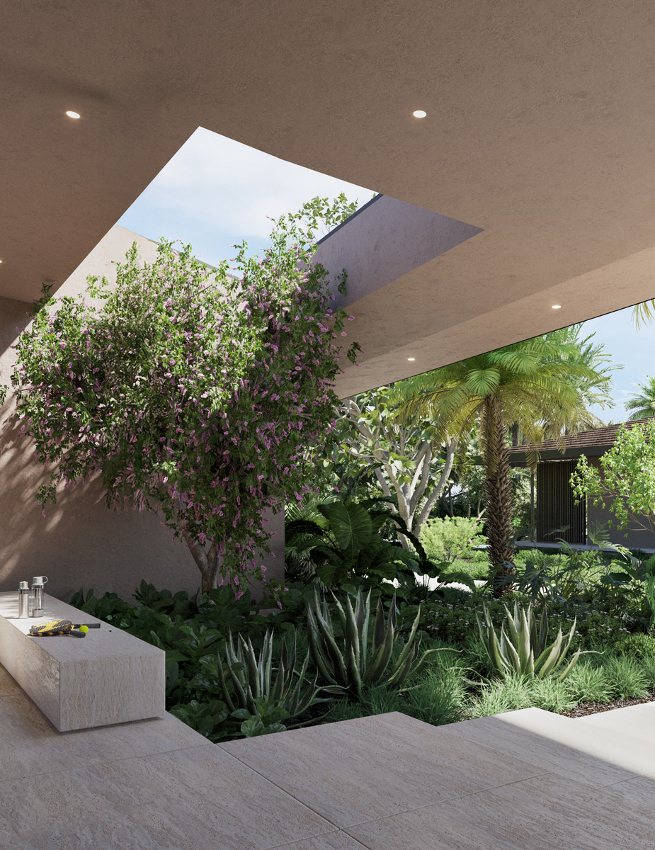 Montalba Architects — Montalba Architects
