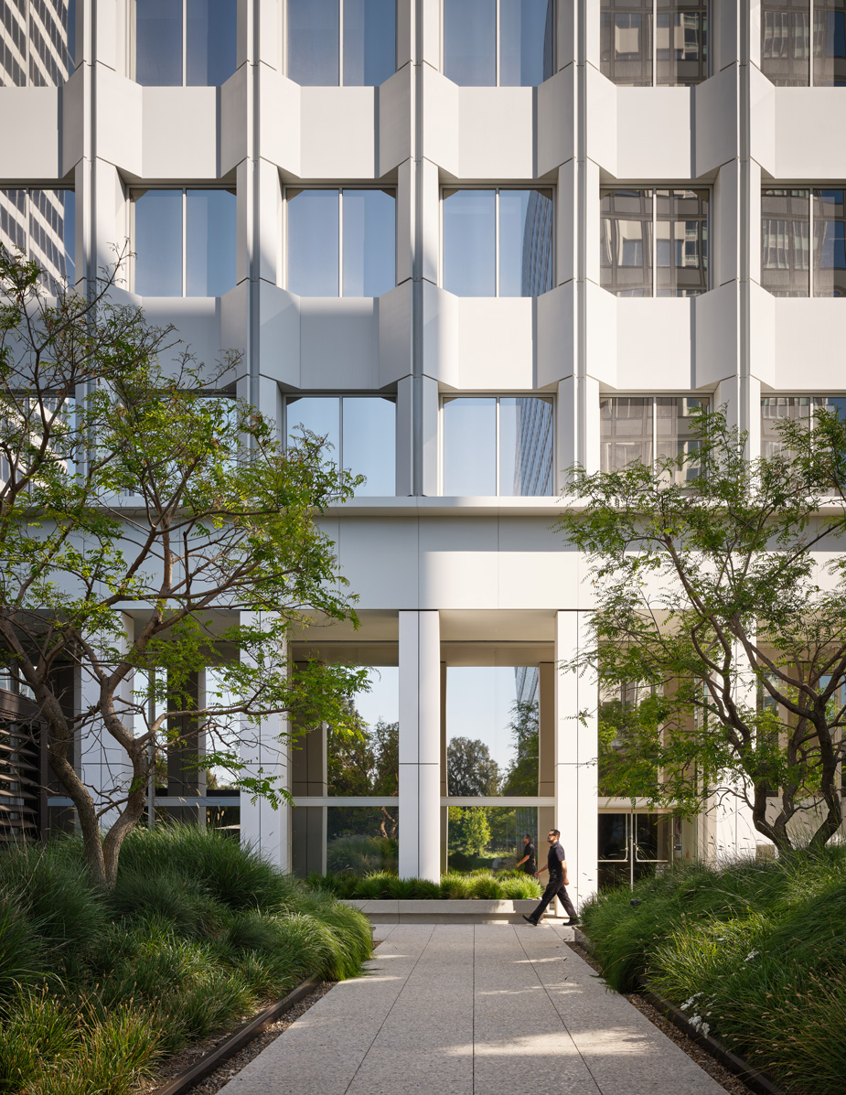 Montalba Architects — Montalba Architects