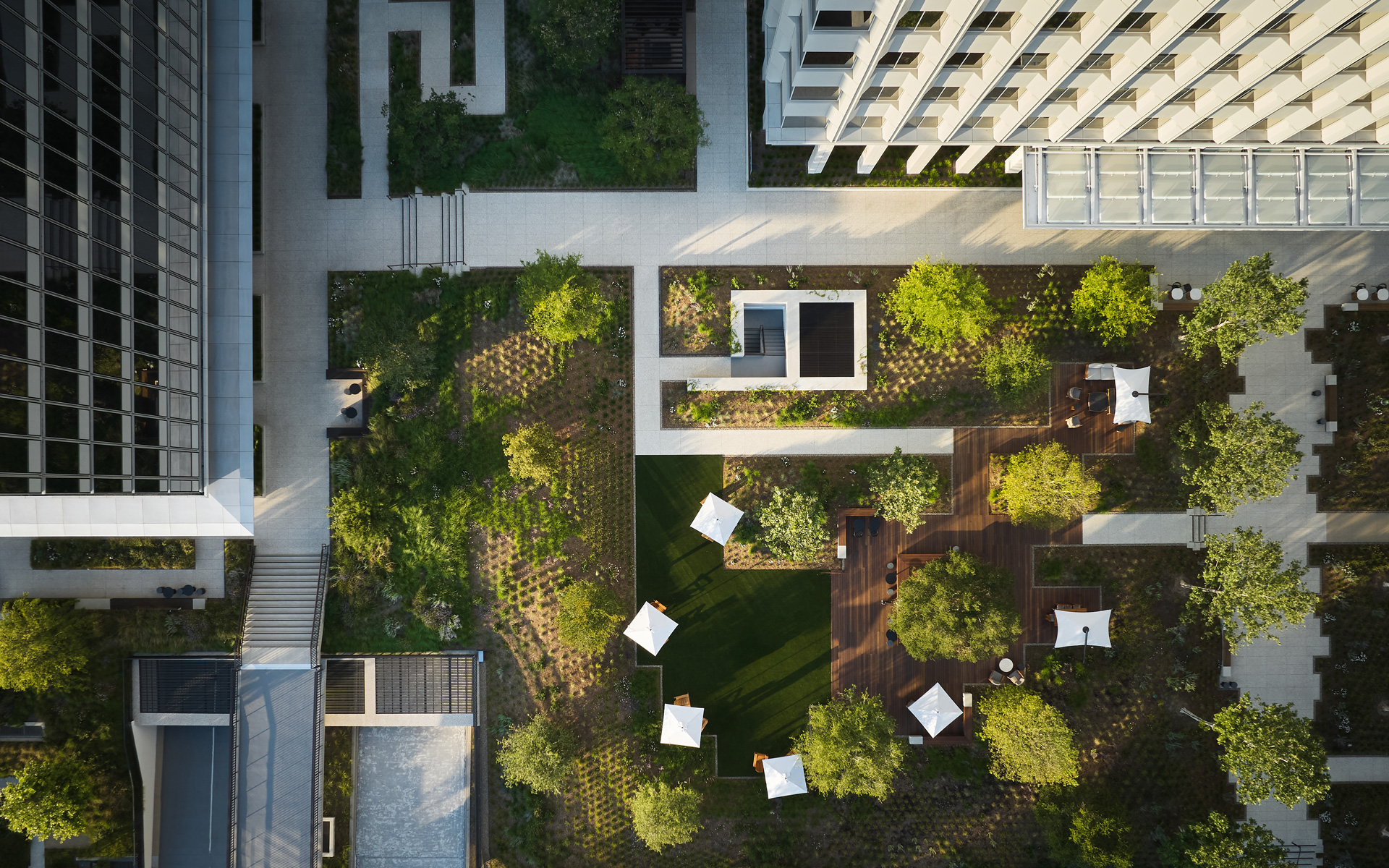 Montalba Architects — Montalba Architects