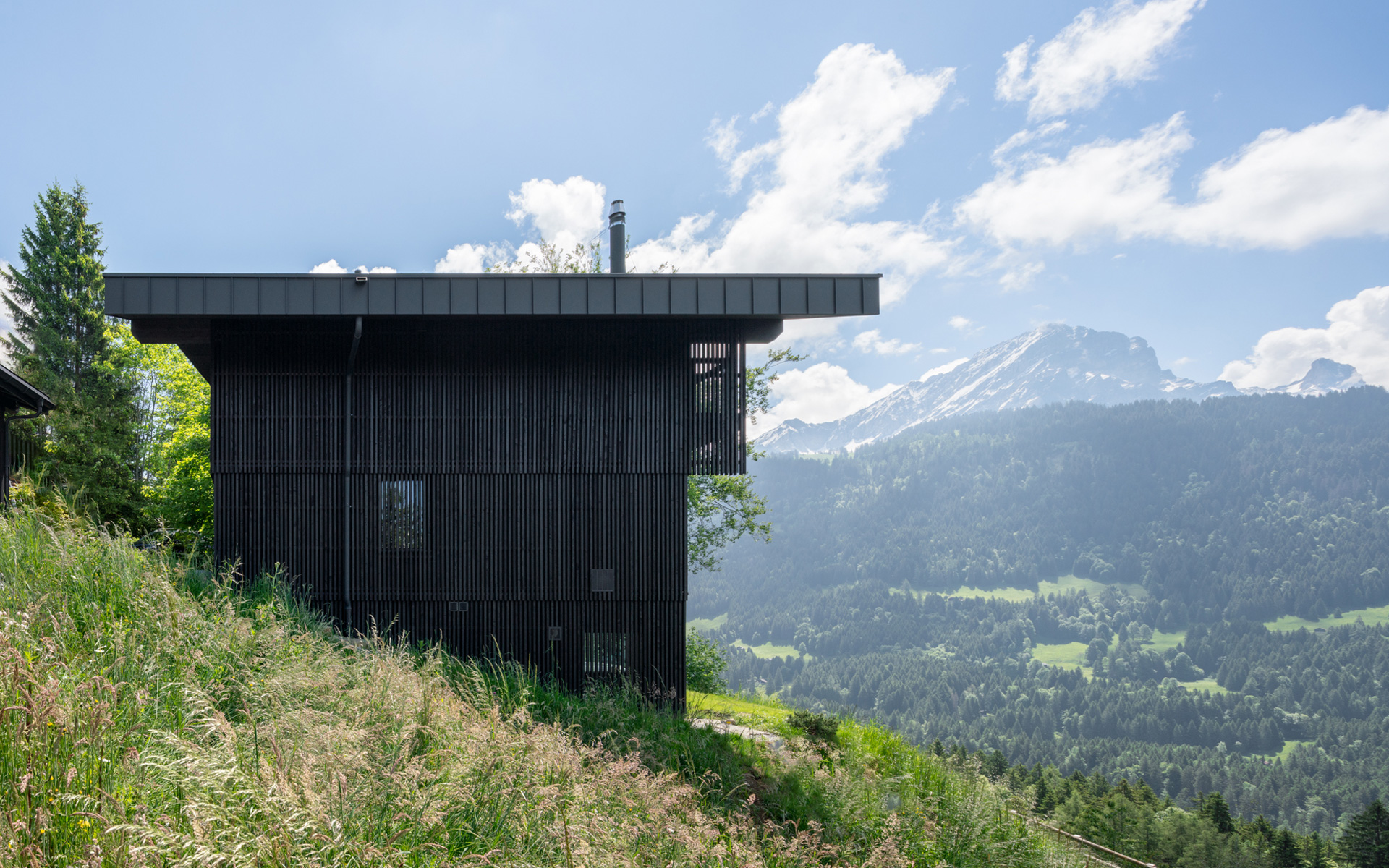 Montalba Architects — Montalba Architects