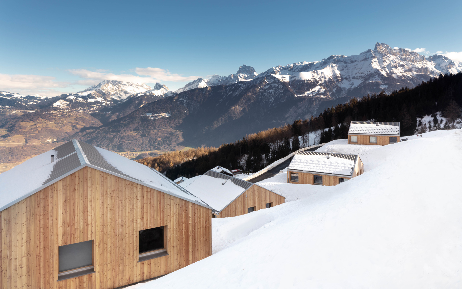 Montalba Architects — Montalba Architects