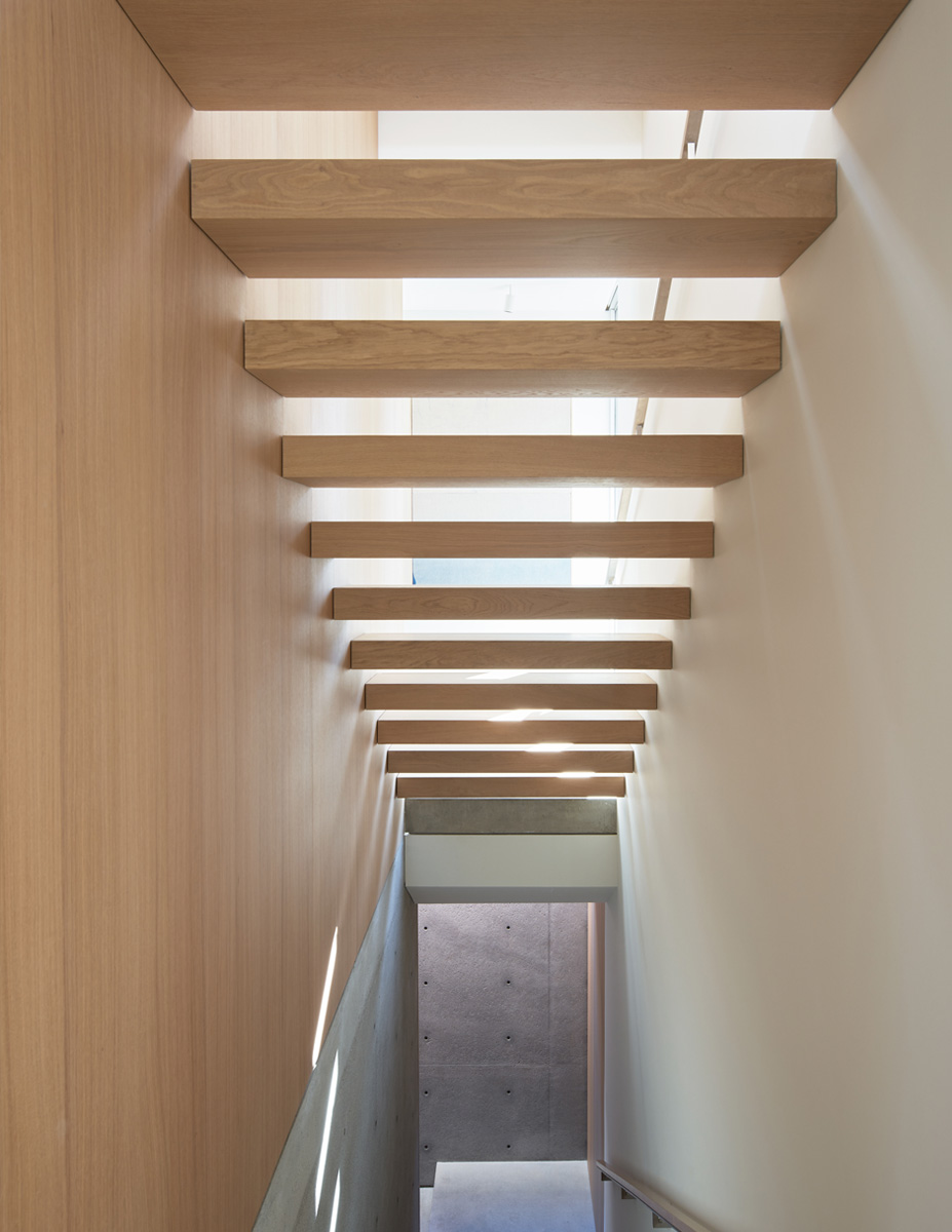 Montalba Architects — Montalba Architects
