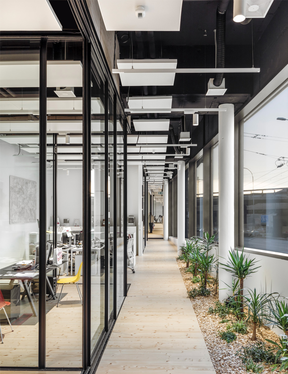 Montalba Architects — Montalba Architects