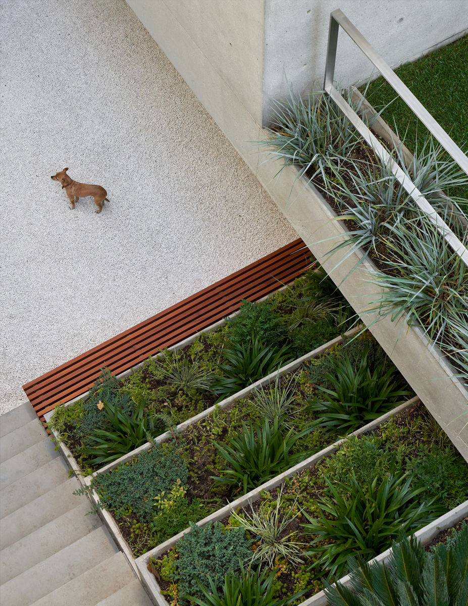 Montalba Architects — Montalba Architects