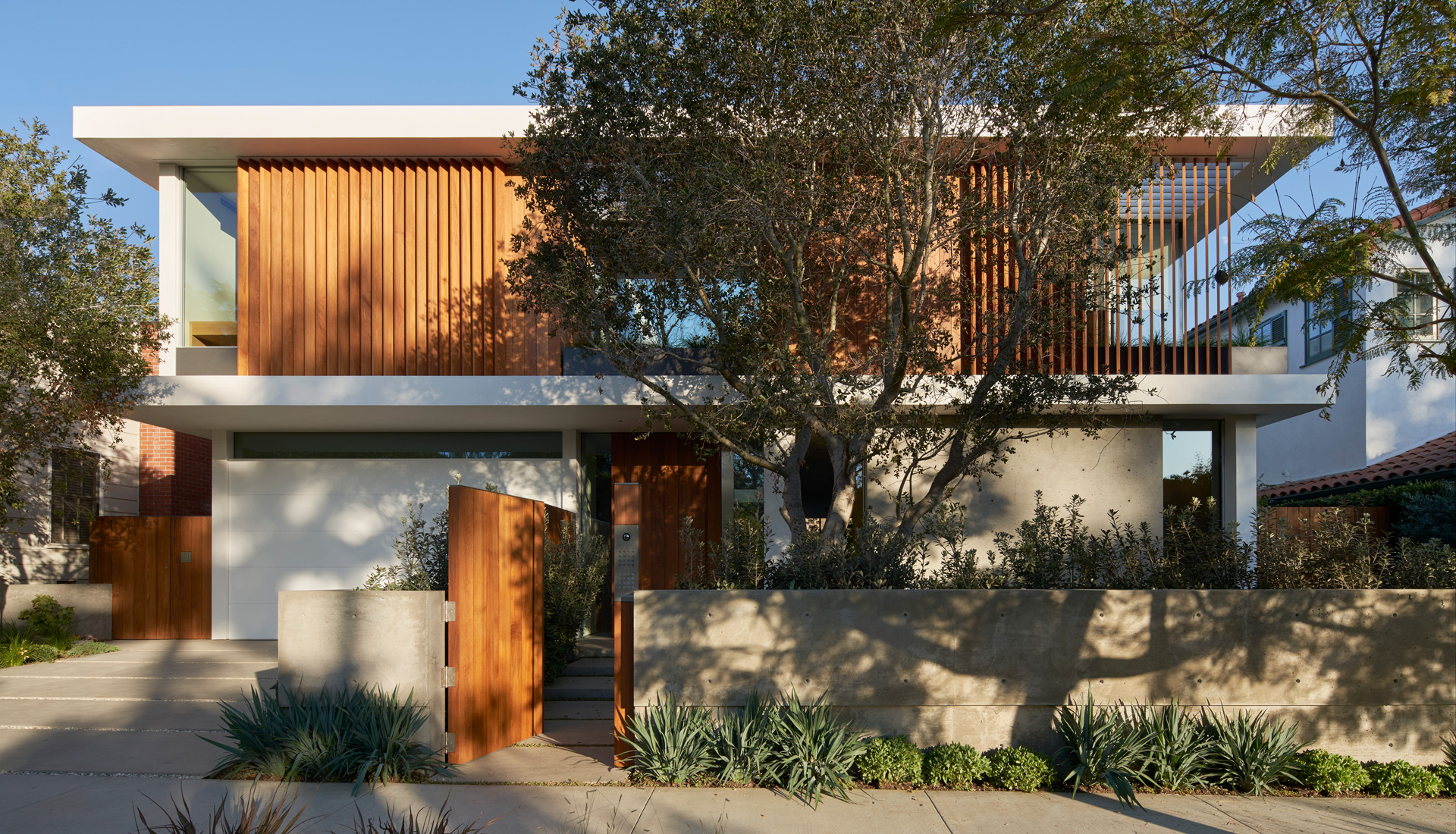 Montalba Architects — Montalba Architects