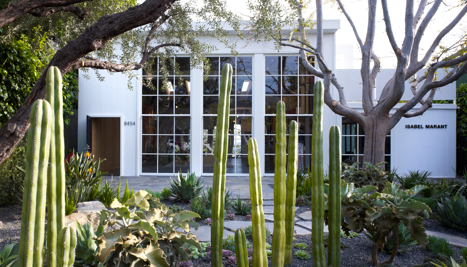 Montalba Architects — Montalba Architects