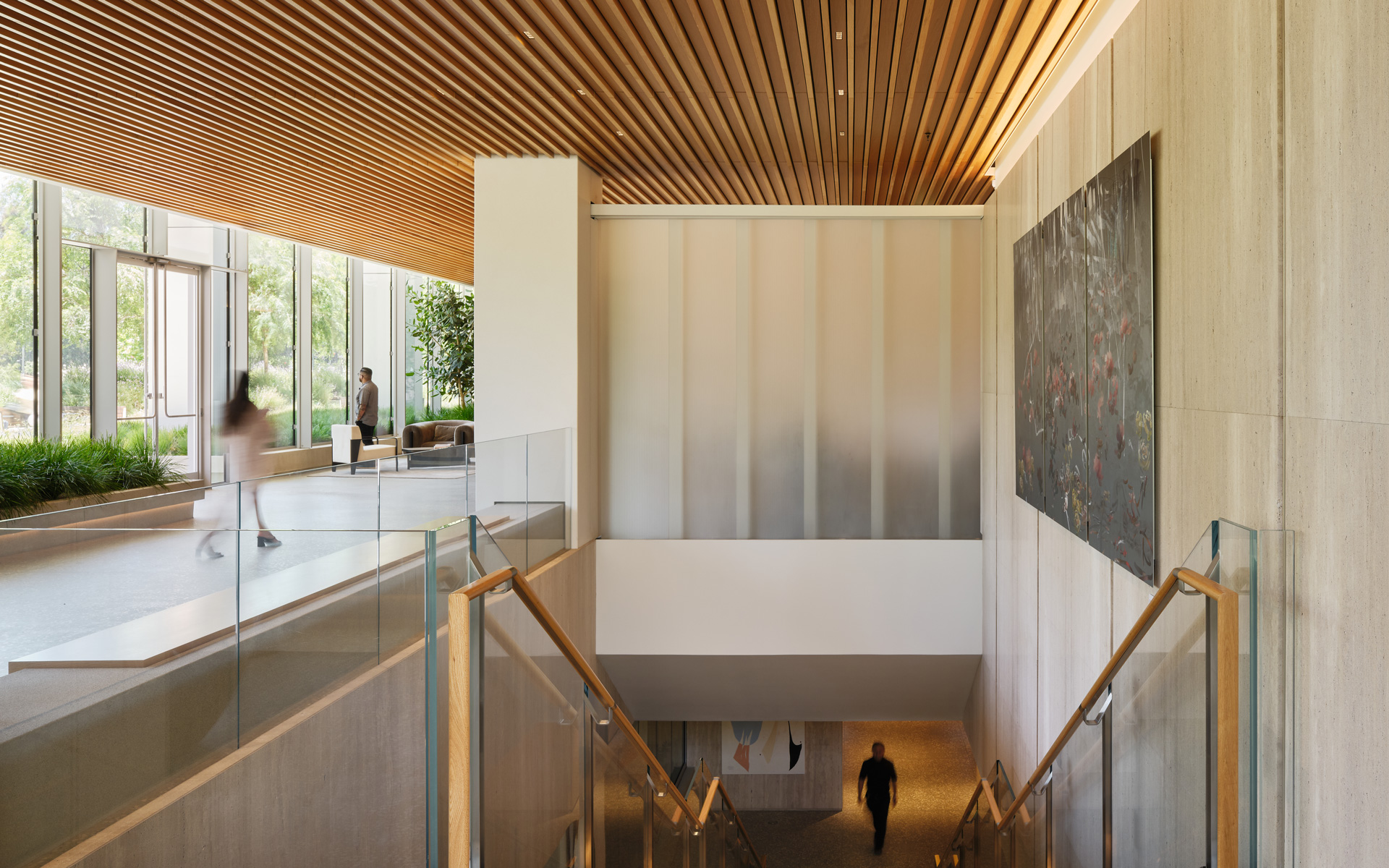 Montalba Architects — Montalba Architects