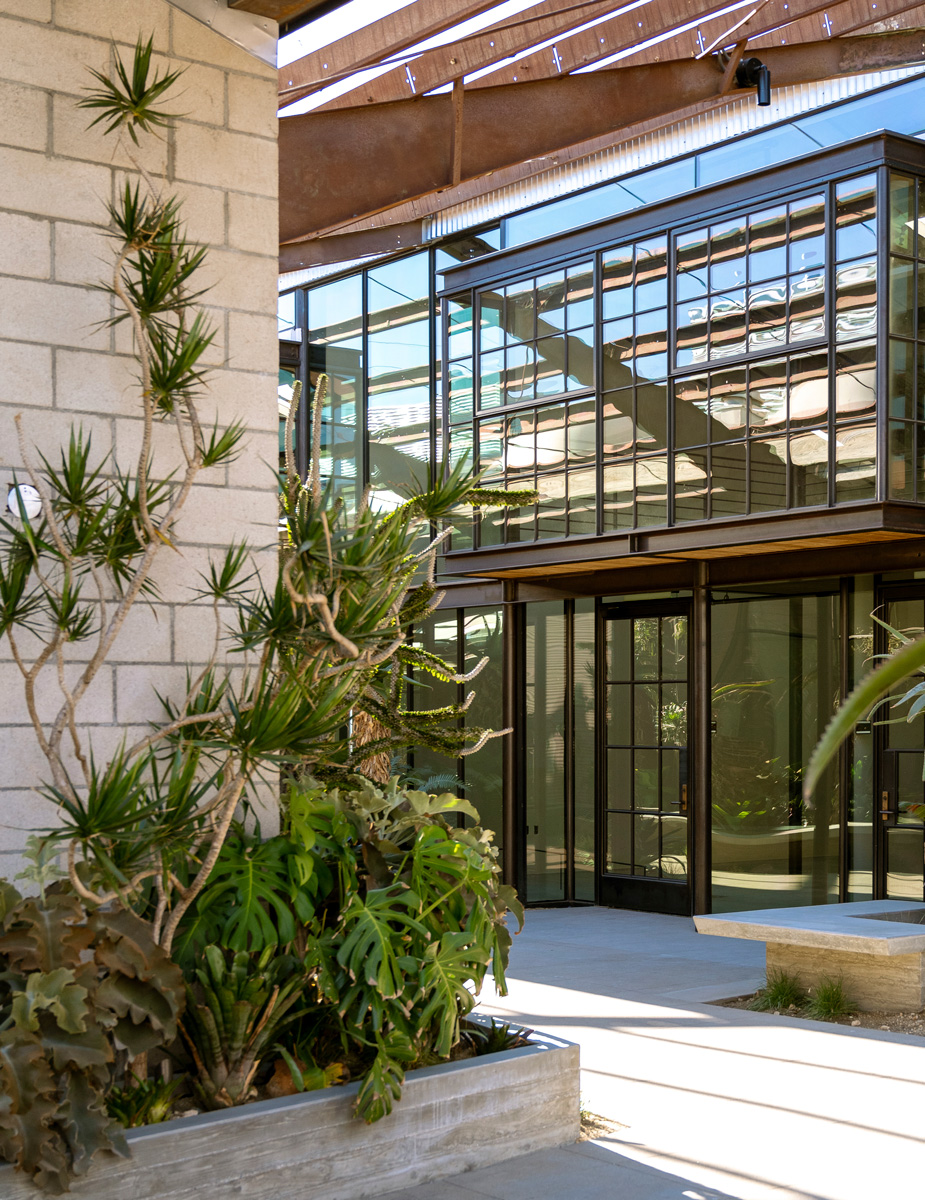 Montalba Architects — Montalba Architects