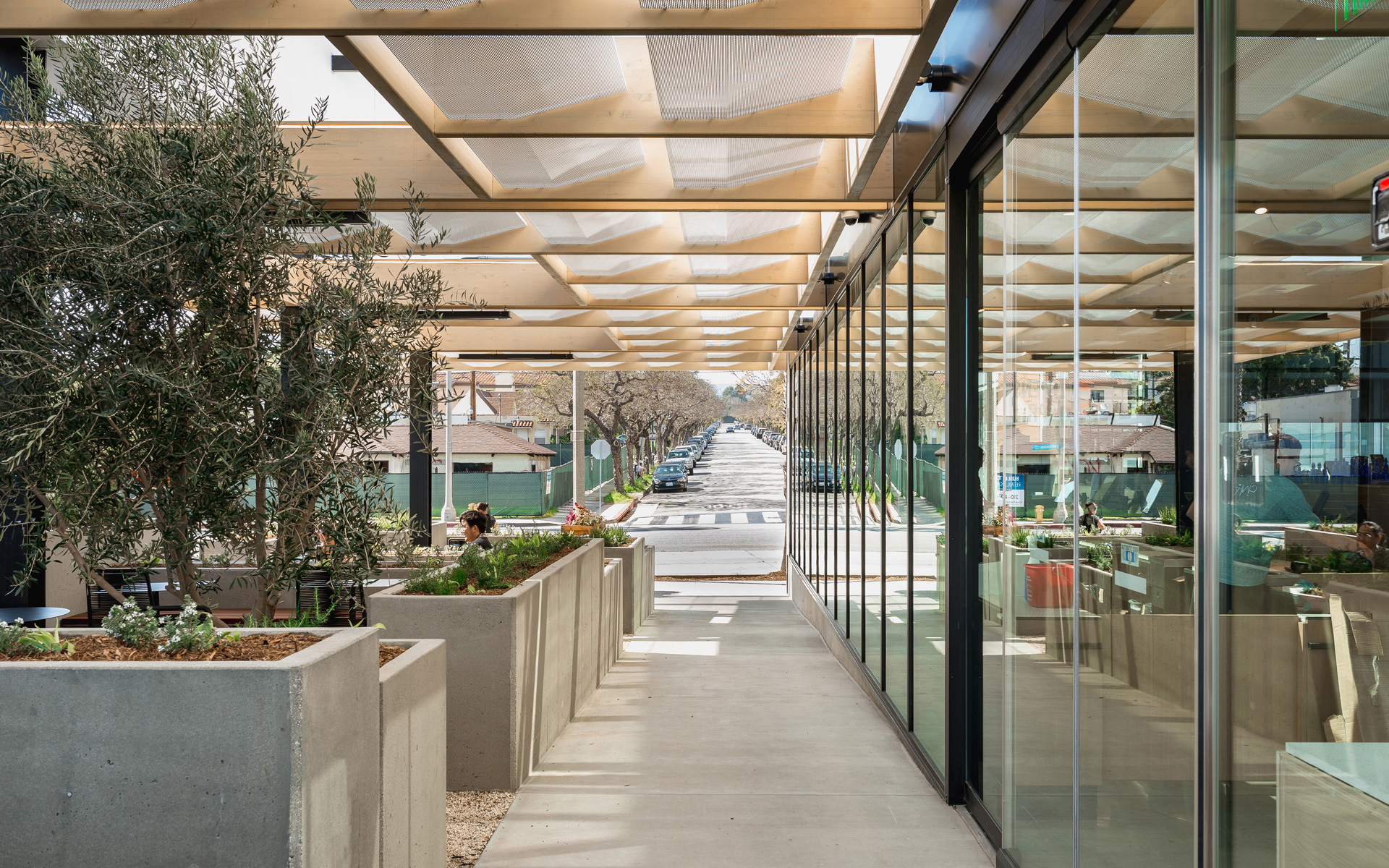 Montalba Architects — Montalba Architects