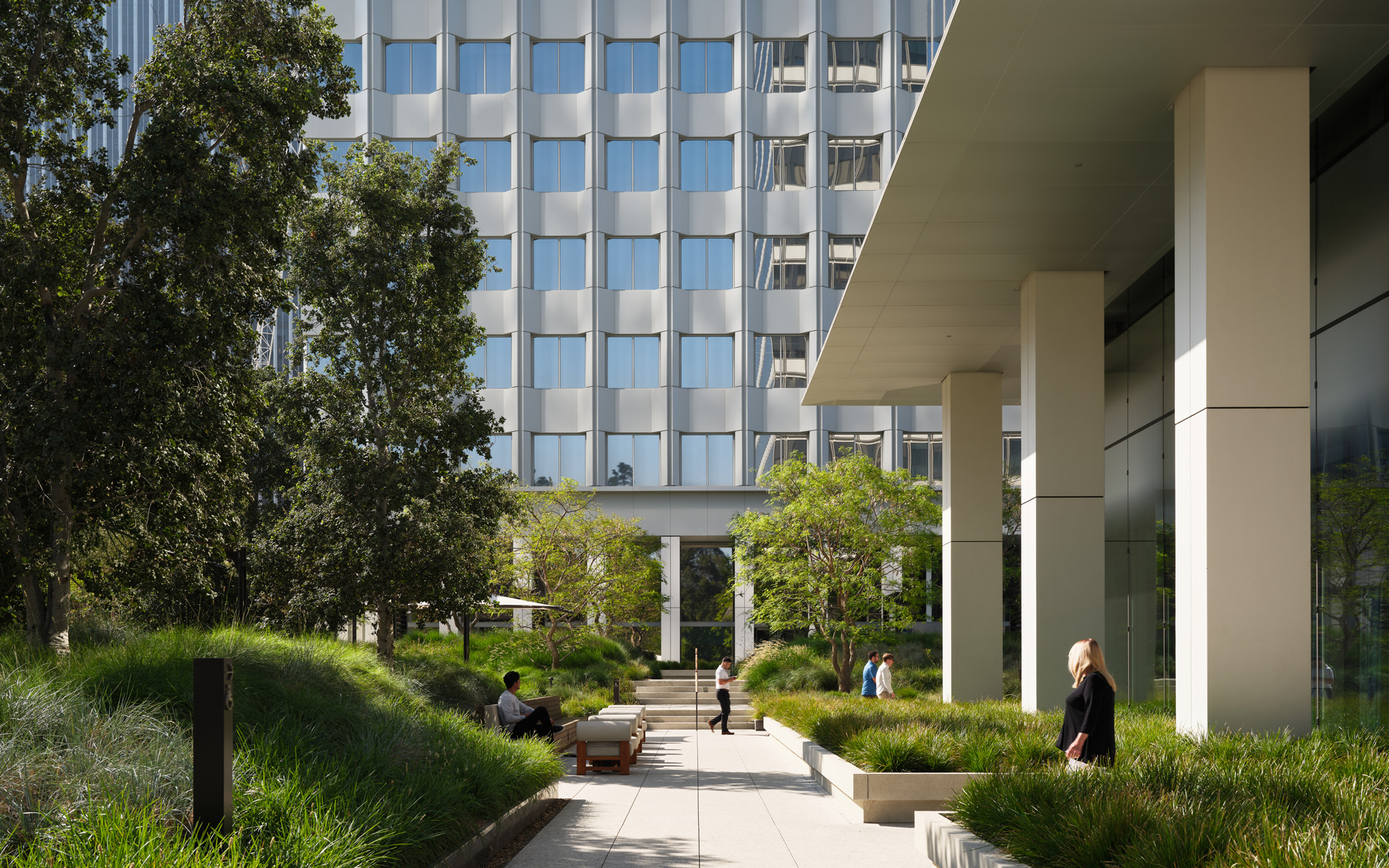 Montalba Architects — Montalba Architects