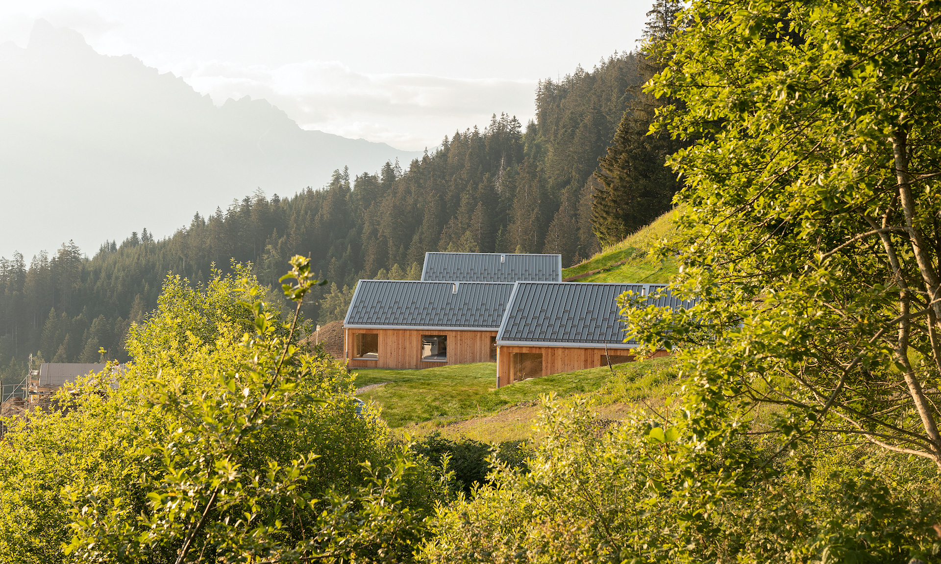 Montalba Architects — Montalba Architects