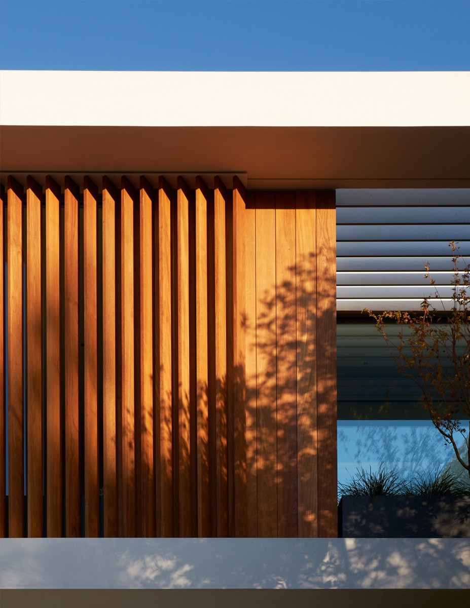 Montalba Architects — Montalba Architects