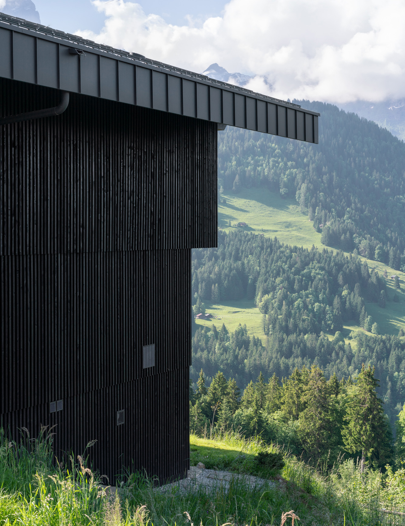 Montalba Architects — Montalba Architects