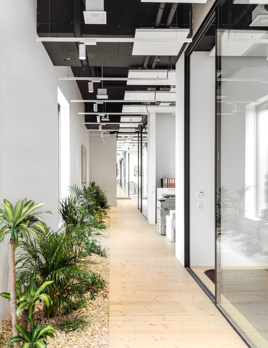Montalba Architects — Montalba Architects