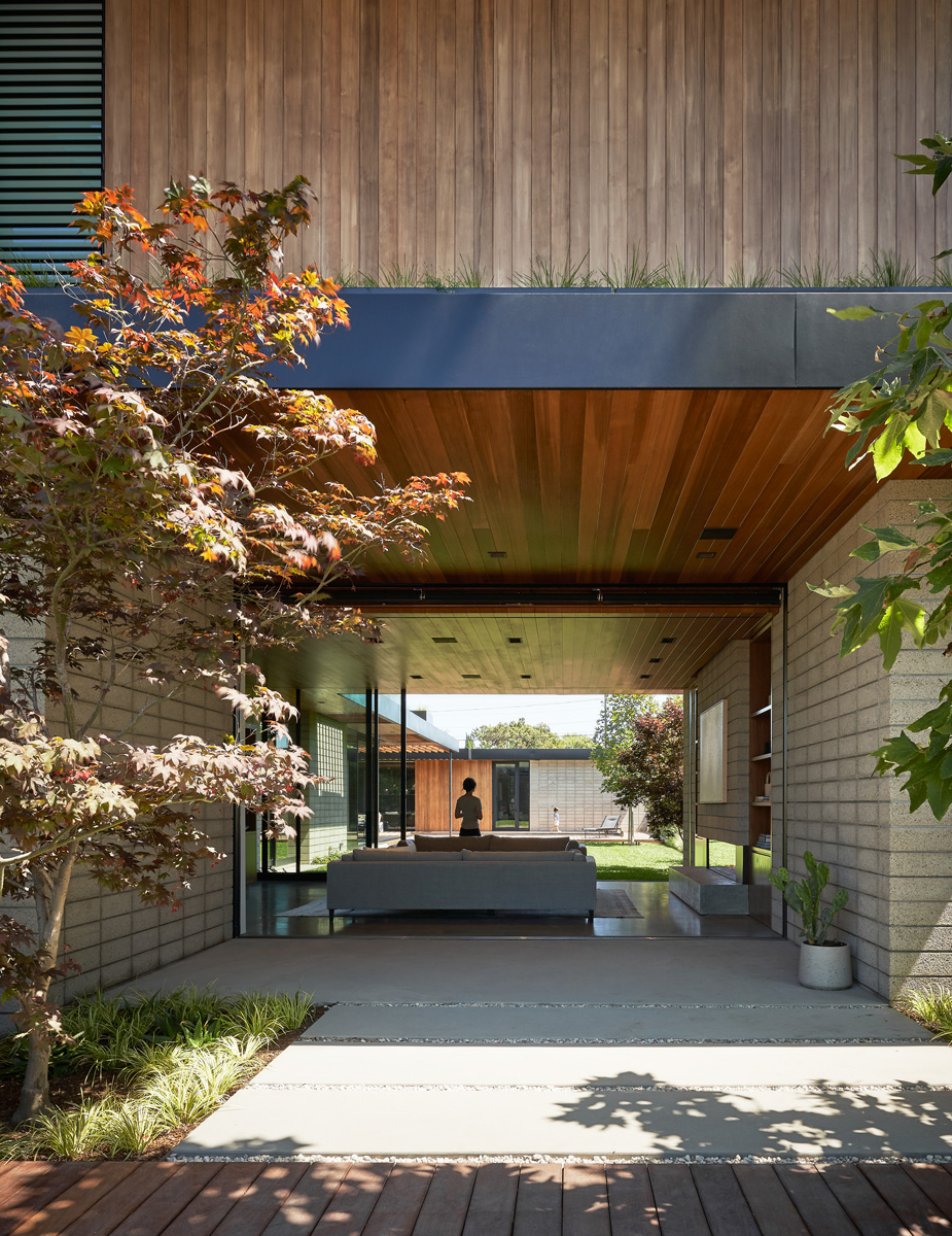Montalba Architects — Montalba Architects