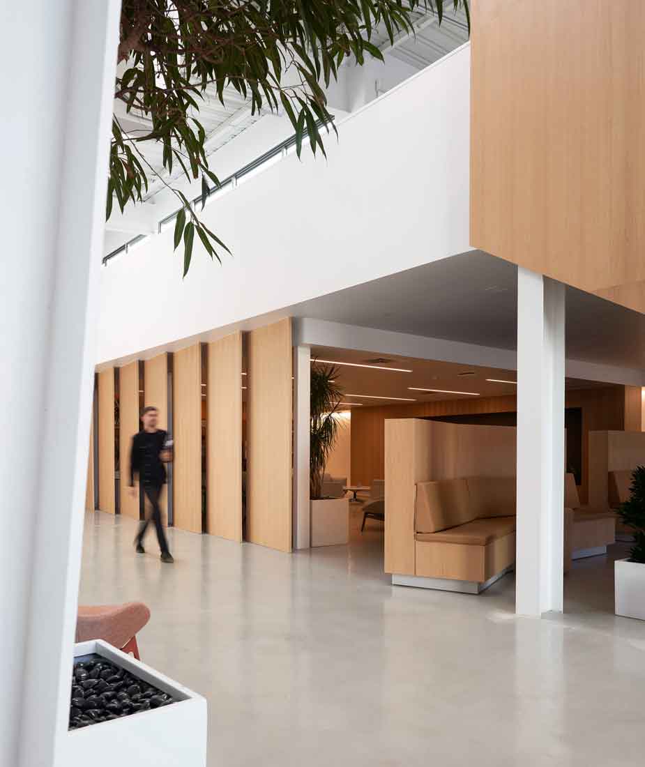 Montalba Architects — Montalba Architects