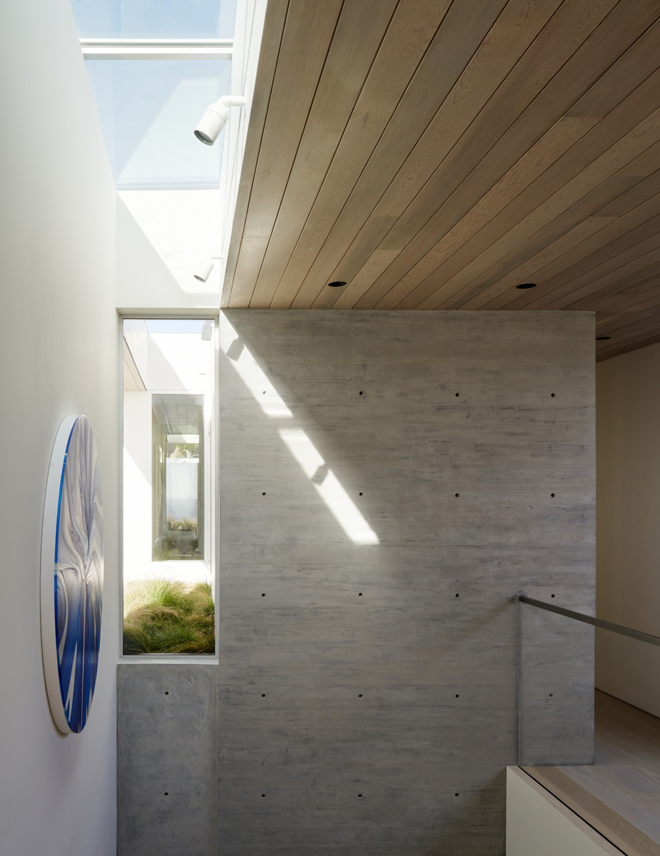 Montalba Architects — Montalba Architects