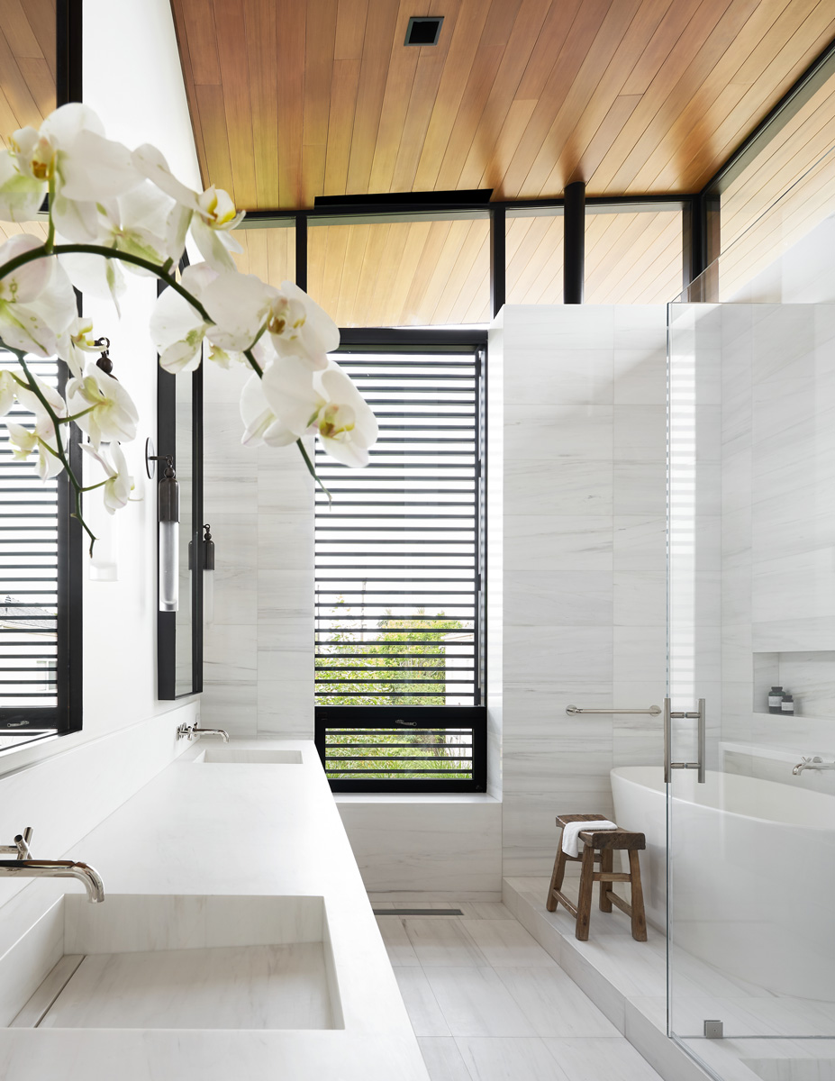 Montalba Architects — Montalba Architects
